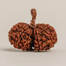 Gauri Shanker Rudraksha